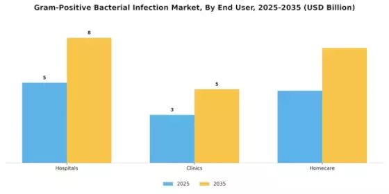 Gram Positive Bacterial Infection Market Segment Image 3