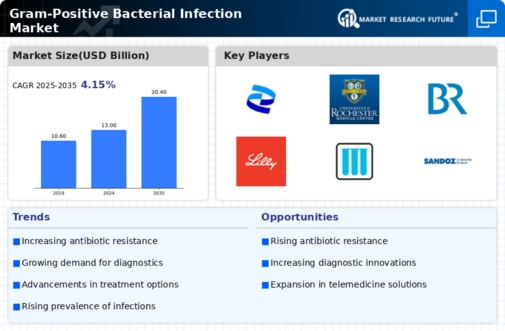 Gram Positive Bacterial Infection Market Infographic