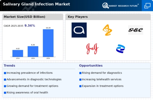 Salivary Gland Infection Market Infographic