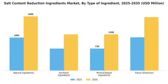 Salt Content Reduction Ingredients Market Segment Image 3