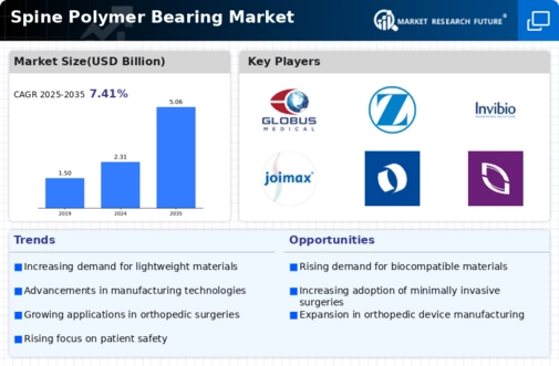 Spine Polymer Bearing Market Infographic