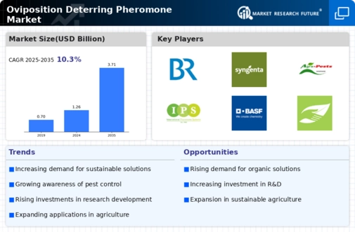 Oviposition Deterring Pheromone Market  Infographic