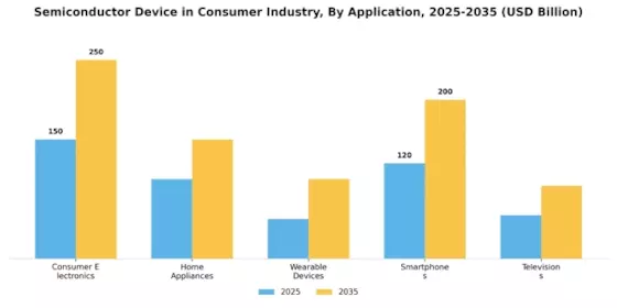 Semiconductor Device in Consumer Industry Market Segment Image 0
