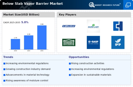 Below Slab Vapor Barrier Market Infographic