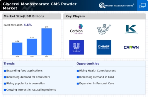 Glycerol Monostearate Powder Market Infographic
