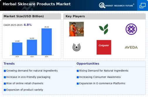 Herbal Skincare Products Market Infographic