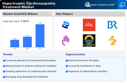 Hypertrophic Cardiomyopathy Treatment Market Infographic