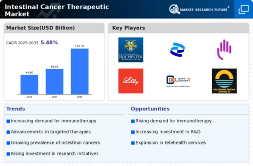 Intestine Cancer Therapeutic Market Infographic