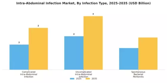 Intra Abdominal Infection Market Segment Image 0