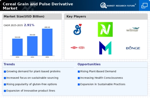 Cereal Grain Pulse Derivative Market Infographic