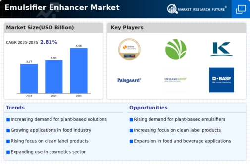 Emulsifier Enhancer Market Infographic