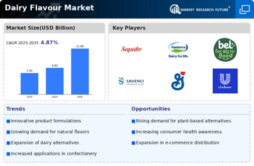 Dairy Flavour Market Infographic