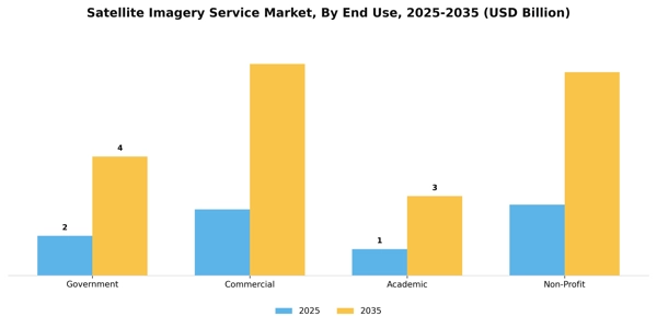 Satellite Imagery Service Market Segment Image 1