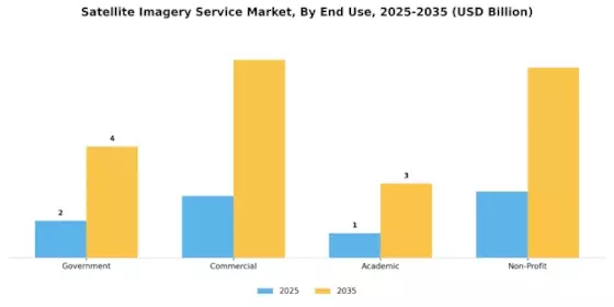 Satellite Imagery Service Market Segment Image 2