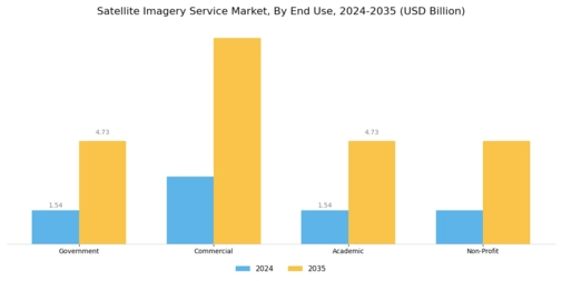 Satellite Imagery Service Market Segment Image 2