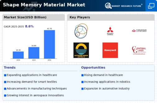 Shape Memory Material Market  Infographic