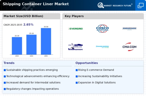 Shipping Container Liner Market Infographic