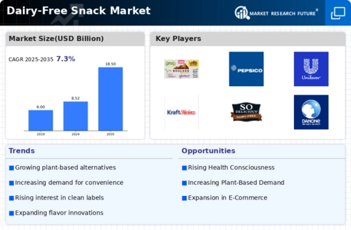 Dairy Free Snack Market Infographic