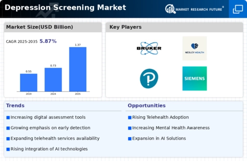 Depression Screening Mental Health Market Infographic