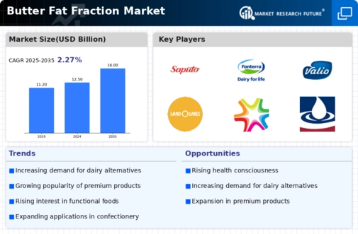 Butter Fat Fraction Market Infographic
