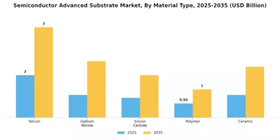 Semiconductor Advanced Substrate Market Segment Image 1