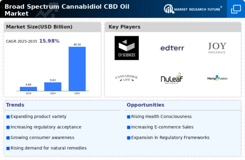Broad Spectrum Cannabidiol CBD Oil Market Infographic