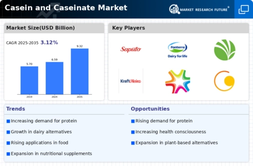 Casein Caseinate Market Infographic