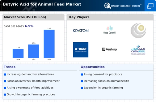 Butyric Acid for Animal Feed Market Infographic