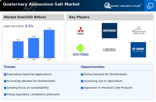 Quaternary Ammonium Salt Market Infographic