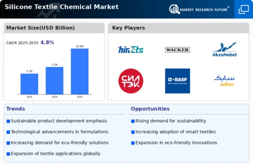 Silicone Textile Chemical Market Infographic