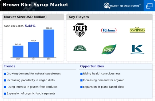 Brown Rice Syrup Market Infographic