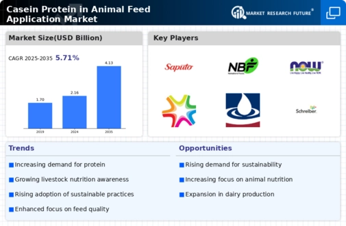 Casein Protein in Animal Feed Application Market Infographic