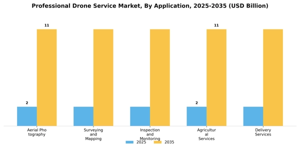 Professional Drone Service Market Segment Image 0