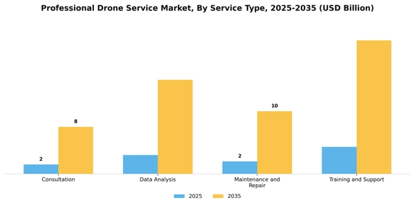Professional Drone Service Market Segment Image 3