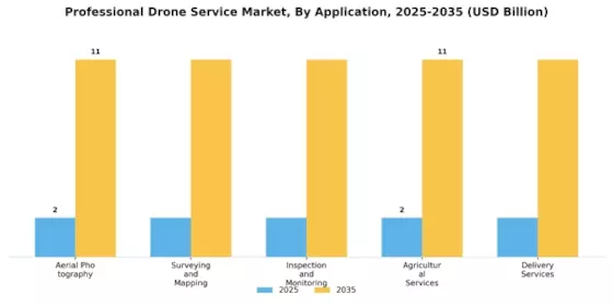 Professional Drone Service Market Segment Image 0