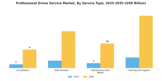 Professional Drone Service Market Segment Image 3