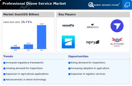 Professional Drone Service Market Infographic