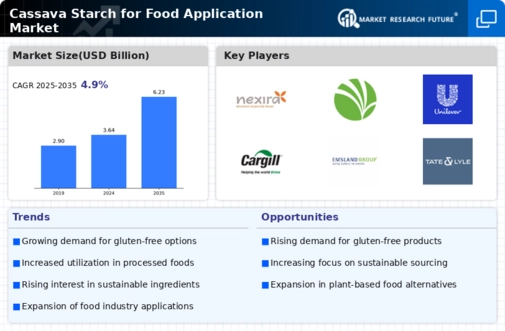 Cassava Starch for Food Application Market Infographic