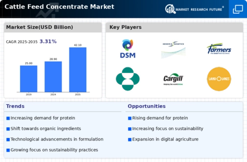 Cattle Feed Concentrate Market Infographic
