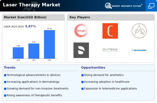 Laser Therapy Market Infographic