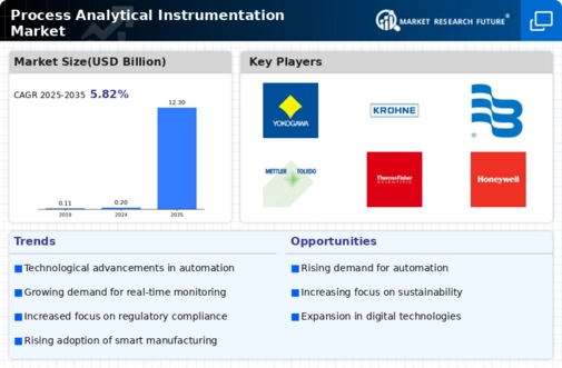 Process Analytical Instrumentation Market
 Infographic
