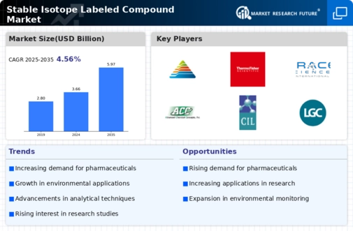 Stable Isotope Labeled Compound Market Infographic