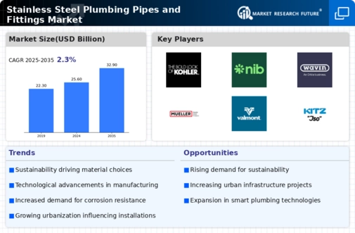 Stainless Steel Plumbing Pipes Fittings Market Infographic