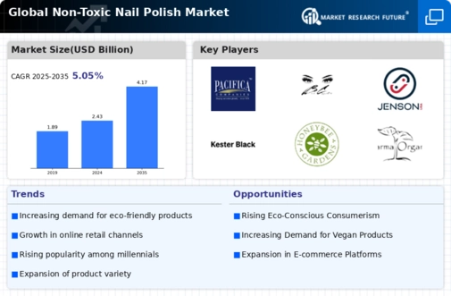 Non-toxic Nail Polish Market Infographic