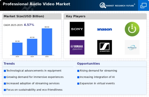 Professional Audio Video Market Infographic