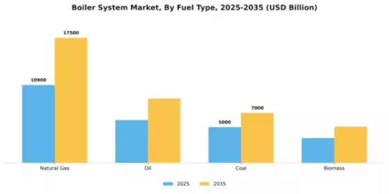 Boiler System Market Segment Image 4