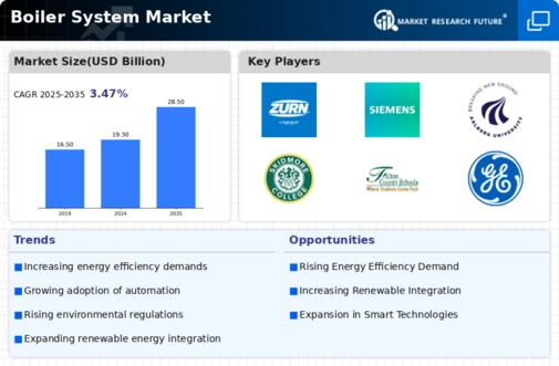 Boiler System Market Infographic