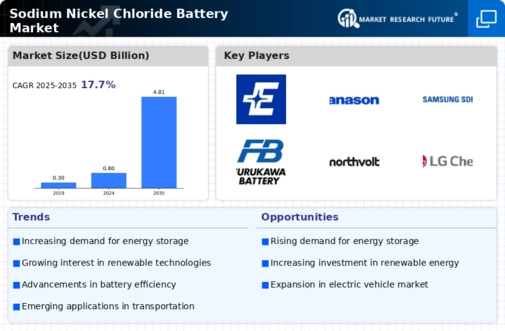 Sodium Nickel Chloride Battery Market Infographic