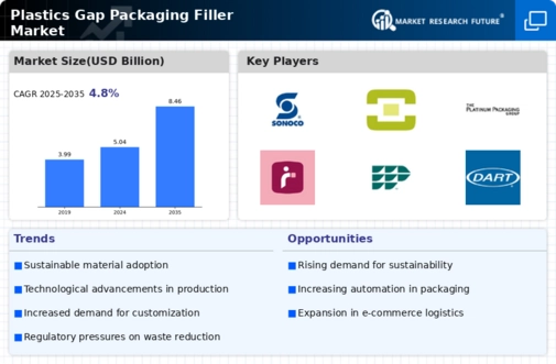 Plastics Gap Packaging Filler Market Infographic