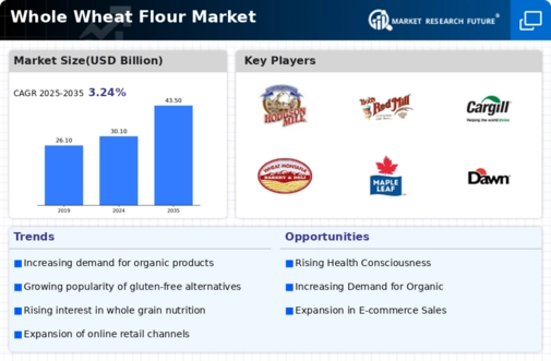 Whole Wheat Flour Market Infographic